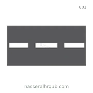 شاخصة المرور رقم 801